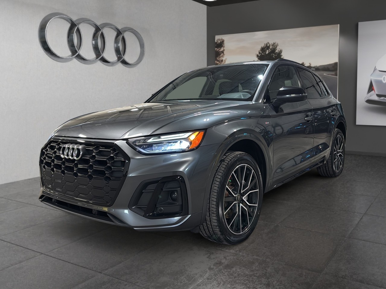 Audi Q5 Progressiv 2023 - Rear View